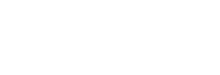 Logo Flessya