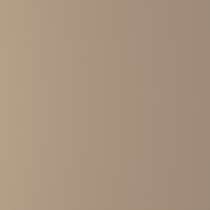 F119 beige grigiastro struttura fine (RAL 1019) colore pieno alluminio