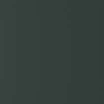 F609 verde abete struttura fine (RAL 6009) colore pieno alluminio