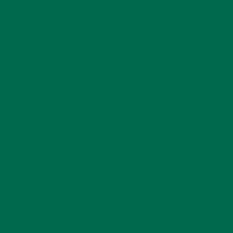 M616 verde turchese opaco (RAL 6016) colore pieno alluminio