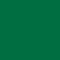 M629 verde menta opaco (RAL 6029) colore pieno alluminio